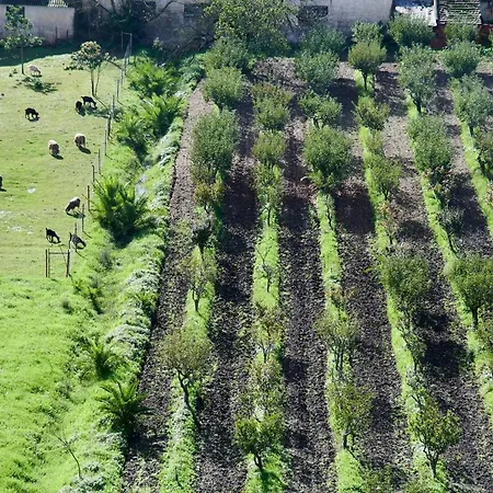 Seaview & Sunset Balcony Charm, By Timecooler Daire Setúbal