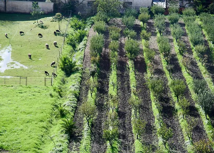 Seaview & Sunset Balcony Charm, By Timecooler Lägenhet Setúbal